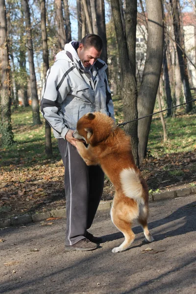 Homem e cão alegre no parque público — Fotografia de Stock