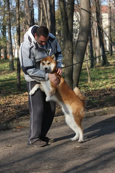 男人和快乐的狗在公园 — 图库照片
