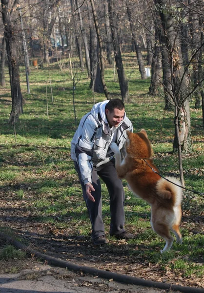 Mann und fröhlicher Hund im öffentlichen Park — Stockfoto