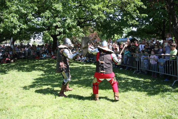 Dos caballeros peleando —  Fotos de Stock