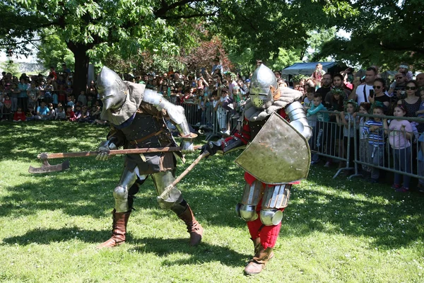 Dos caballeros peleando —  Fotos de Stock