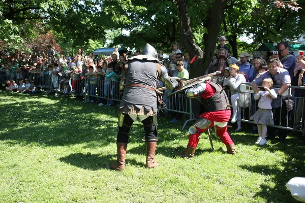 Two knights fighting — Stock Photo, Image