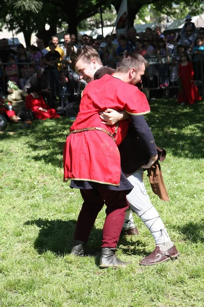 Mittelalterlicher Ringkampf — Stockfoto