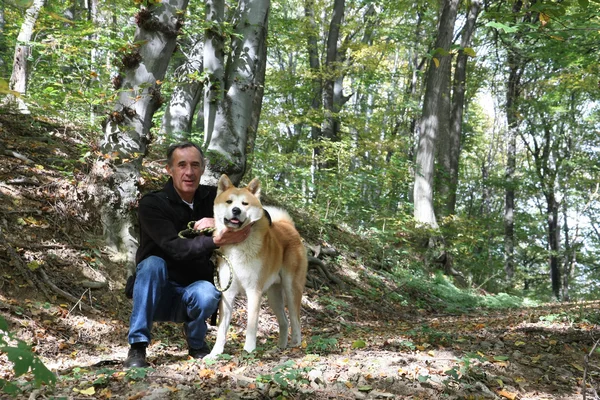 Hombre y perro disfrutando en el bosque —  Fotos de Stock