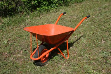 Turuncu handwagon alanında