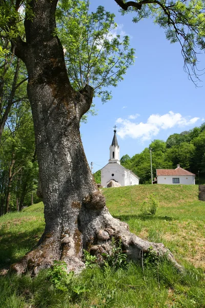 Igreja Ortodoxa na Sérvia — Fotografia de Stock