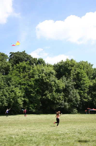 Kites flying day — Stock Photo, Image