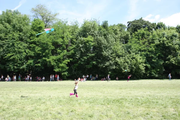 Kites flying day — Stock Photo, Image