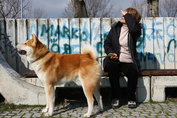 Lady and her dog — Stock Photo, Image