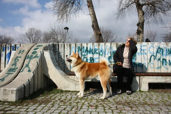 女性と彼女の犬 — ストック写真