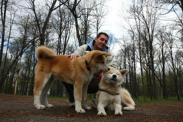 Dogs in public park — Stock Photo, Image