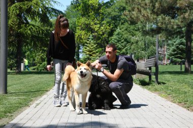 Köpekler ve gurur sahiplerinin poz