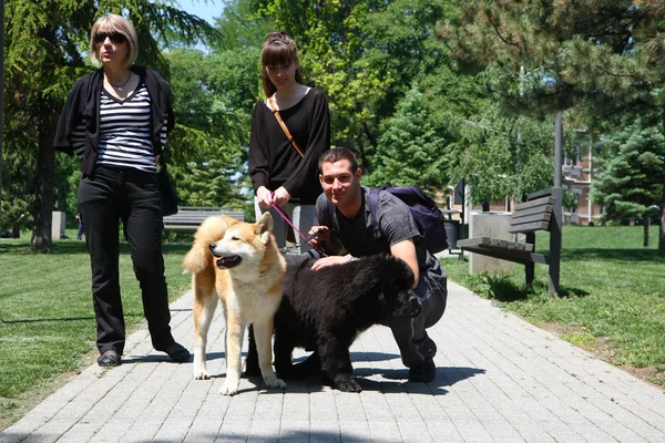 Posing dogs and proud owners — Stock Photo, Image