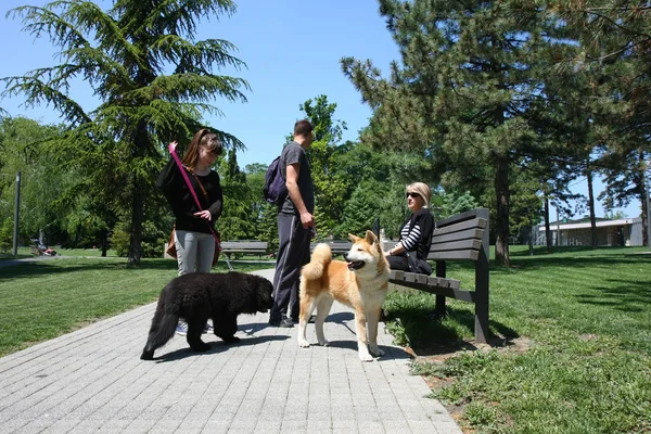 公園で休憩します。 — ストック写真