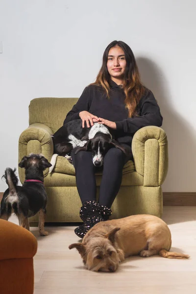 Portræt Teenagepige Sidder Sofa Stuen Hendes Hus Med Sine Hunde - Stock-foto