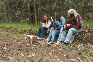 Aile, bir ormanda mikrofonla ses içeriği yaratıyor ve yanlarında da köpekleri var.