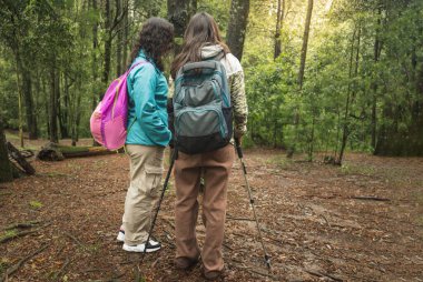 Sırt çantalı ve yürüyüş direkli iki kadın orman yolunda yürüyüş yapıyor.