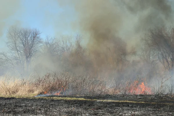 A controlled burn in Saint Louis, Missouri, ensures fuel build-up is limited. This, in turn, prevents massive wild fires from raging through forests and prairies. Conservation Management.