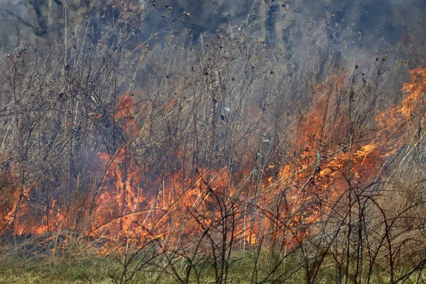 Saint Louis, Missouri 'de kontrollü bir yanma yakıt birikiminin sınırlı olmasını sağlar. Bu da, orman ve çayırlarda şiddetli yangınların çıkmasını önlüyor. Koruma Yönetimi.