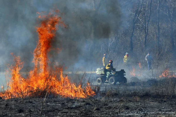 Saint Louis, Missouri 'de kontrollü bir yanma yakıt birikiminin sınırlı olmasını sağlar. Bu da, orman ve çayırlarda şiddetli yangınların çıkmasını önlüyor. Koruma Yönetimi.