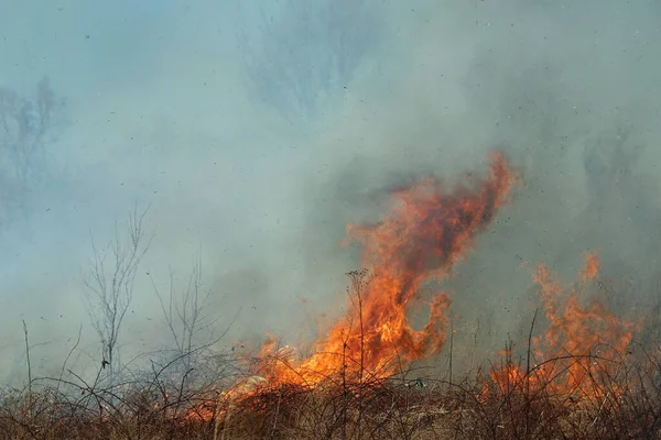 Eine Kontrollierte Verbrennung Saint Louis Missouri Sorgt Dafür Dass Sich — Stockfoto