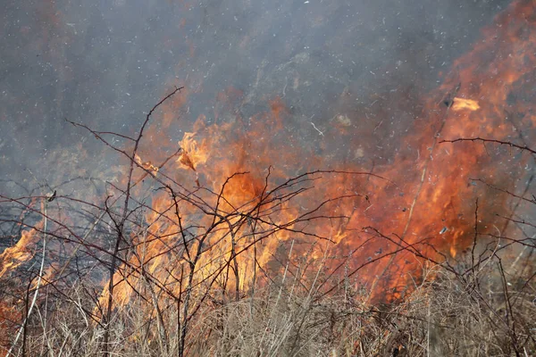 Saint Louis, Missouri 'de kontrollü bir yanma yakıt birikiminin sınırlı olmasını sağlar. Bu da, orman ve çayırlarda şiddetli yangınların çıkmasını önlüyor. Koruma Yönetimi.