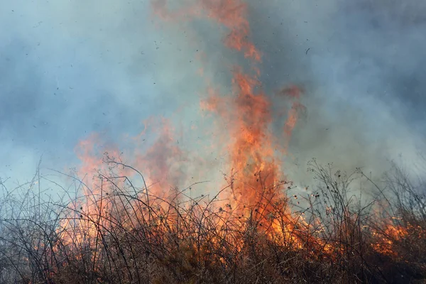 Una Combustione Controllata Saint Louis Missouri Assicura Che Accumulo Carburante — Foto Stock