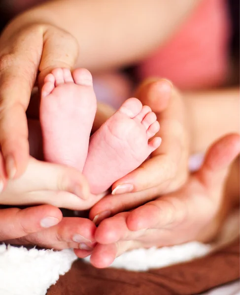 Moeder Houdt Pasgeboren Baby Voeten Handen — Stockfoto