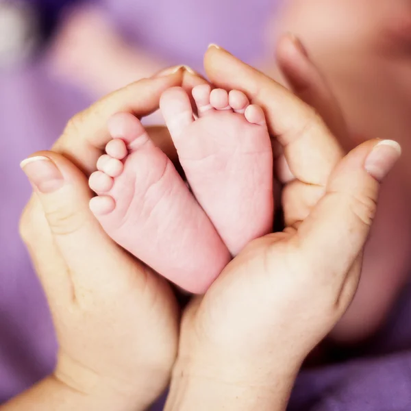 Moeder Houdt Pasgeboren Baby Voeten Handen — Stockfoto