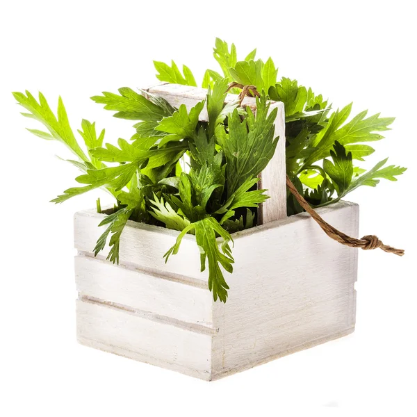 Parsley Small Wooden Crate Isolated White Background — Stock Photo, Image