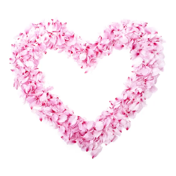 Pink Flowers Petals Heart Shape Isolated White Background — Stock Photo, Image