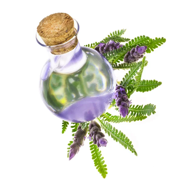 Small Glass Jug Purple Liquid Lavender Isolated White Background — Stock Photo, Image