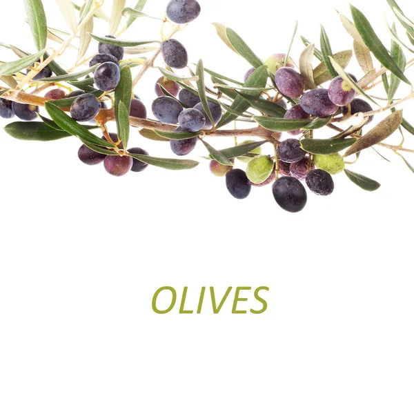 Olive Branches Olives Lettering Isolated White Background — Stock Photo, Image