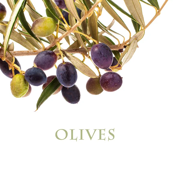 Olive Branches Olives Lettering Isolated White Background — Stock Photo, Image