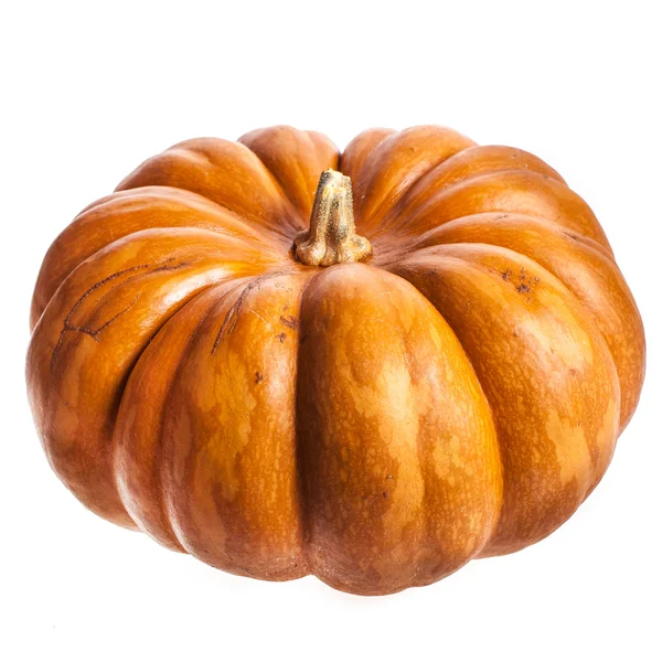 Ripe Pumpkin Isolated White Background — Stock Photo, Image