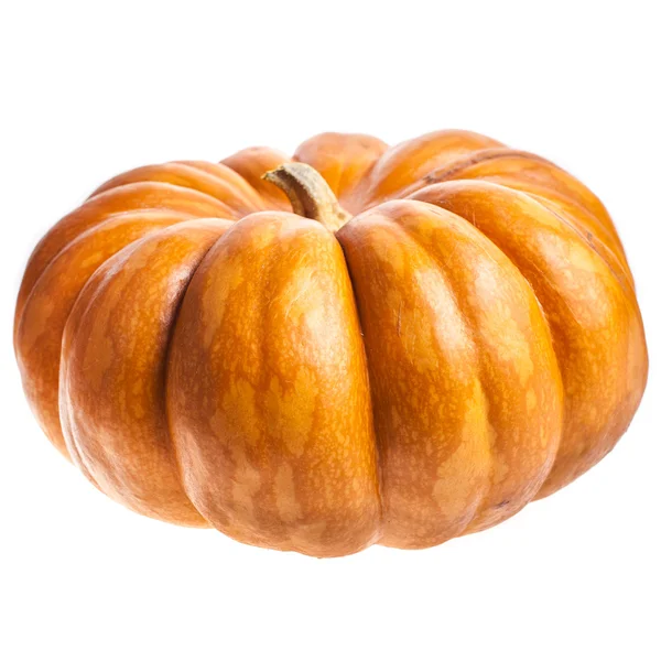 Ripe Pumpkin Isolated White Background — Stock Photo, Image