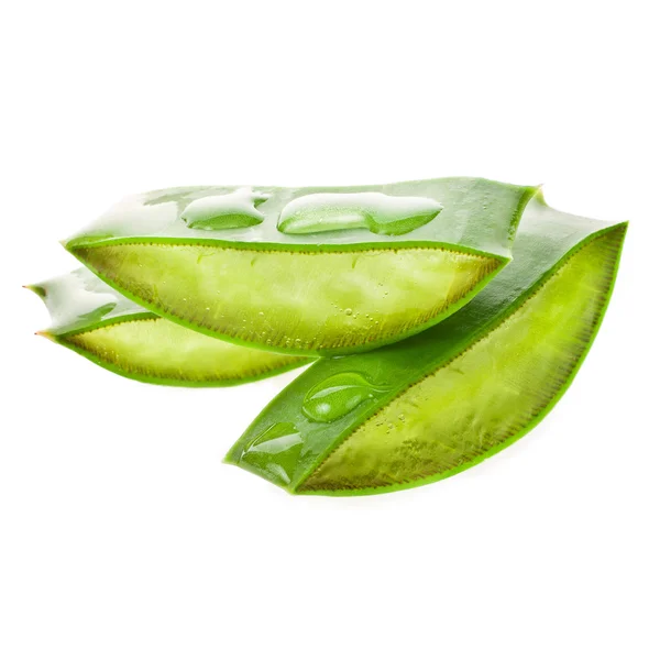 Wet Slices Aloe Isolated White Background — Stock Photo, Image