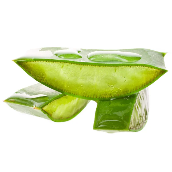 Fette Umide Aloe Isolate Fondo Bianco — Foto Stock