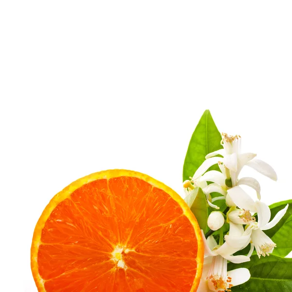 Orangenscheibe Und Jasminblüten Isoliert Auf Weißem Hintergrund — Stockfoto