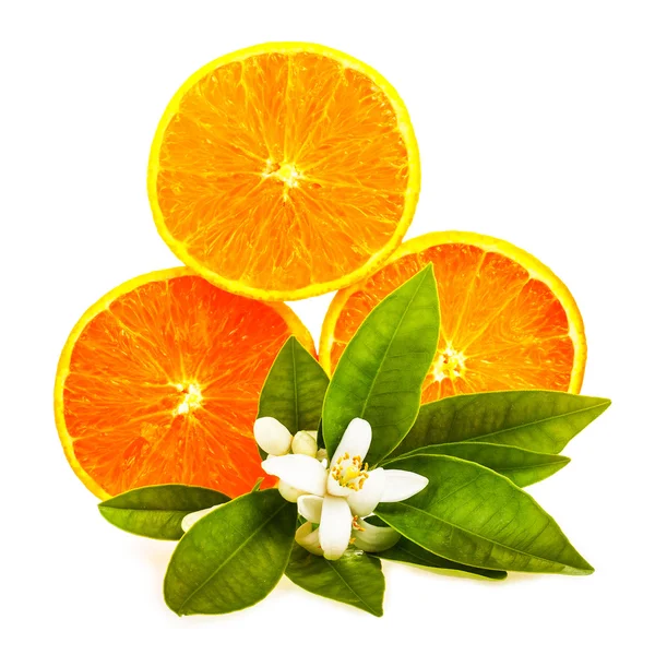 Orange Slices Jasmine Flowers Isolated White Background — Stock Photo, Image