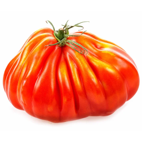 新鲜的本土番茄孤立在白色背景 — 图库照片