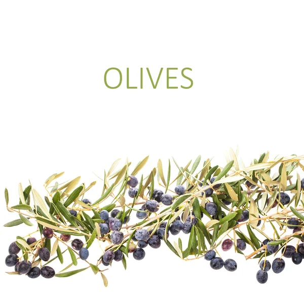 Olive Branches Olives Lettering Isolated White Background — Stock Photo, Image