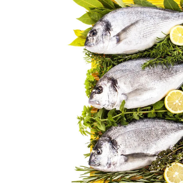 Fresh Caught Raw Fish Herbs Lemon Slices — Stock Photo, Image