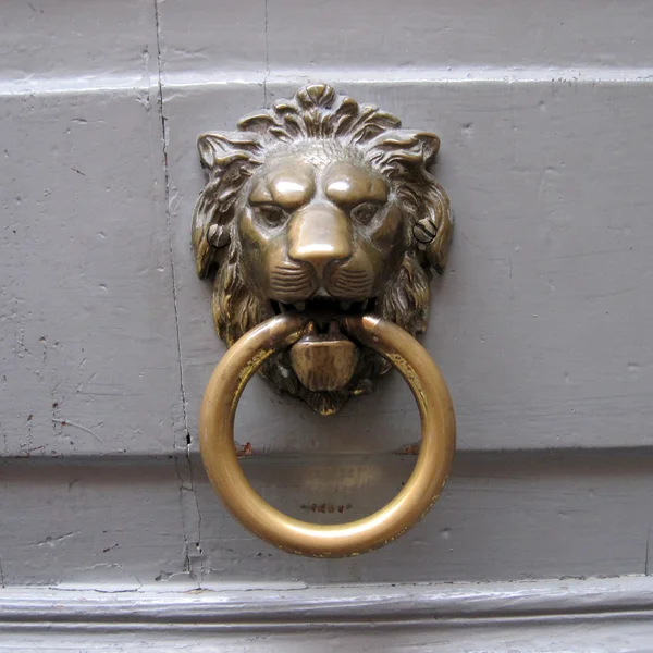 Close Shot Vintage Door Knocker Lion — Stock Photo, Image