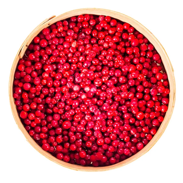 Cranberries Maduras Recipiente Madeira Isolado Fundo Branco — Fotografia de Stock