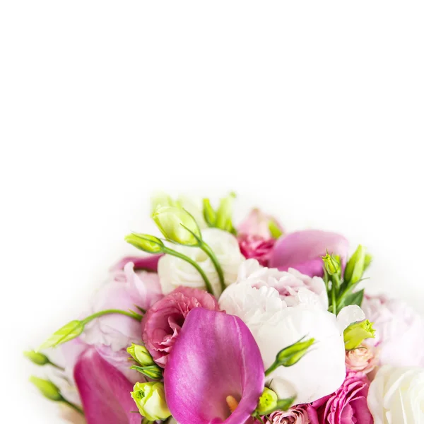 Růžové Kvetoucí Květiny Izolované Bílém Pozadí Stock Obrázky
