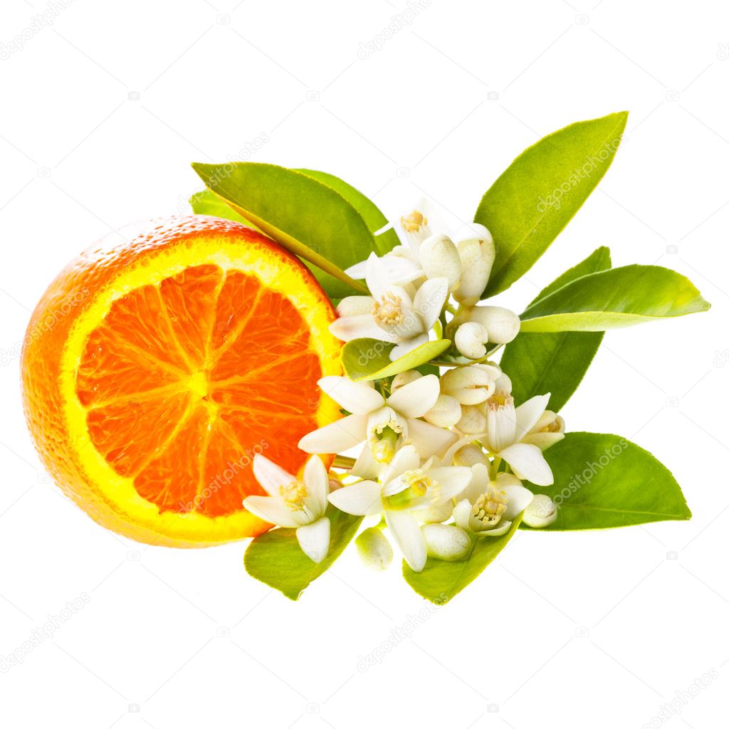 orange half and jasmine flowers isolated on white background