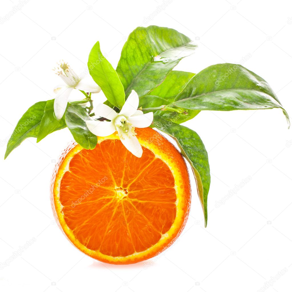 orange slice and jasmine flowers isolated on white background