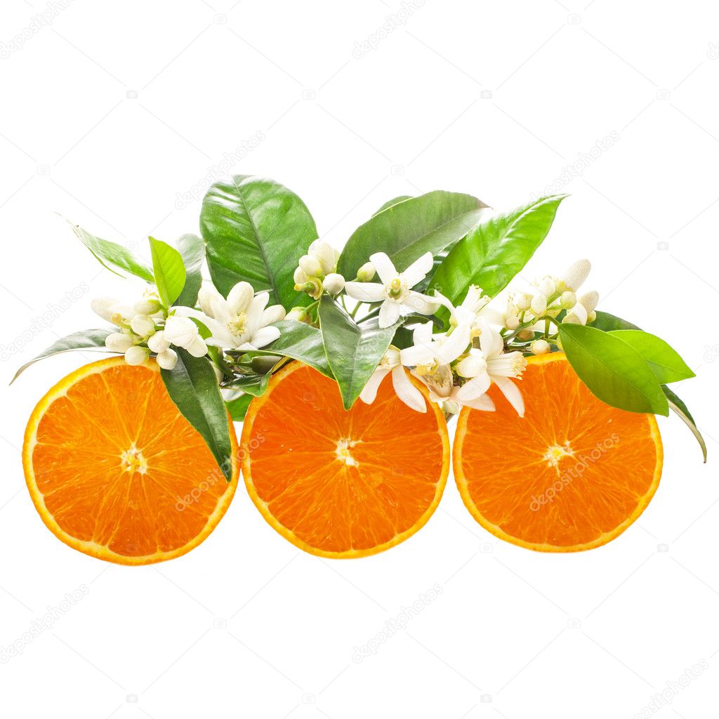 orange slices and jasmine flowers isolated on white background