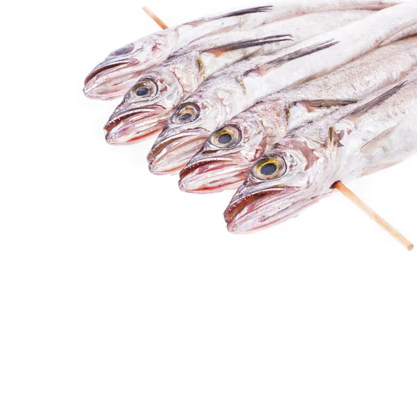 Pesce capelin su un bastone di legno — Foto Stock